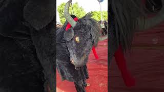 Download lagu Hampir disruduk banteng merah‼️sekar bawono #plesirmbarong #bantengan #bantengmacan #sekarbawono mp3 Download lagu Hampir disruduk banteng merah‼️sekar bawono #plesirmbarong #bantengan #bantengmacan #sekarbawono mp3