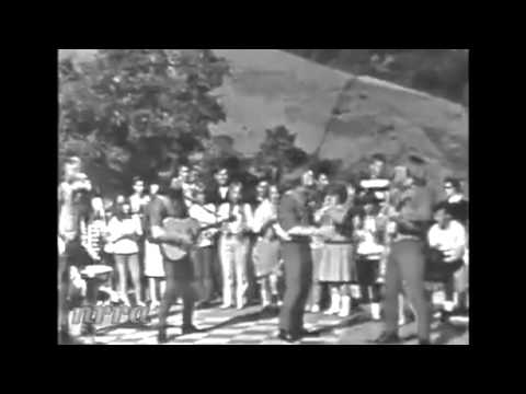 The Robbs "Look Through Any Window"