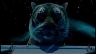 Life Of Pi - Most Beautiful Scene
