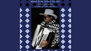 Tout Partout (Live / 1997)