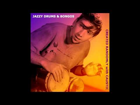 Jazzy Drums & Bongos (Caustic Randomness)