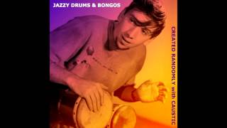 Jazzy Drums & Bongos (Caustic Randomness)