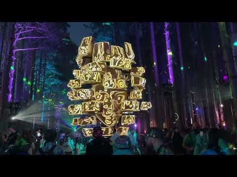 Electric Forest 2023: By Day and By Night on Day 1 in Rothbury (6/22/23)