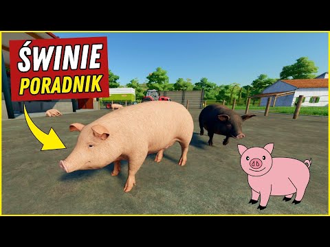 , title : 'Świnie w Farming Simulator 22 - PORADNIK'