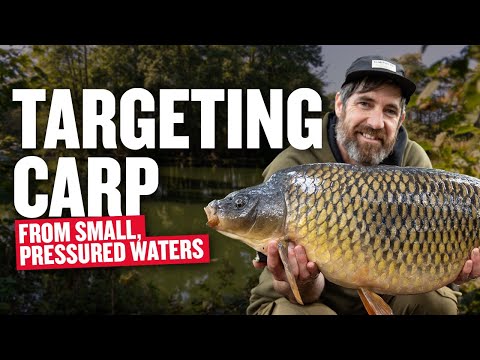 Carp Fishing - Small Water Tactics at Dawford Pool with Simon Dew