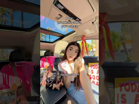 עמית מזרחי - רישיון נהיגה