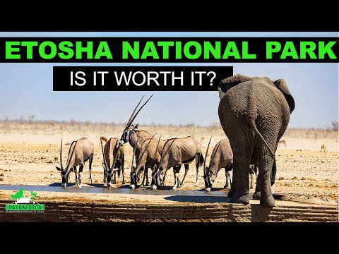Is Etosha National Park still worth it? How to make it better | Day 1 of 5