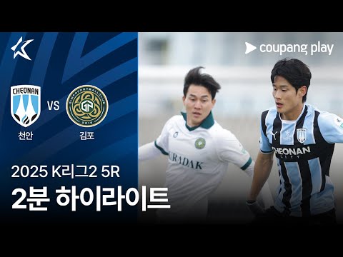 bg-highlight