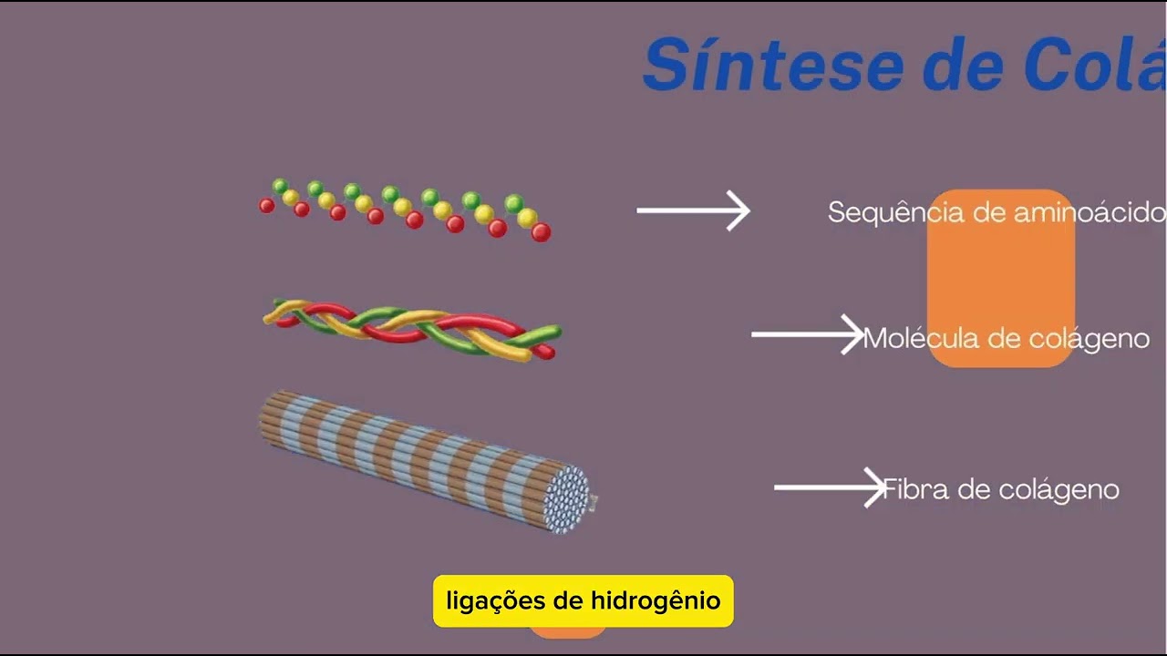 Aspectos bioquímicos da vitamina C e a síntese de colágeno