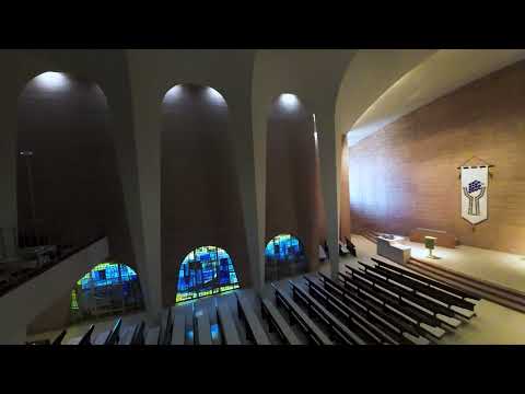 Westbrook Shortell video