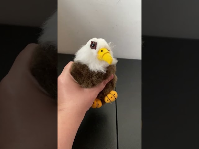 Vídeo relacionado con Wild Republic Peluche Águila Calva Cuddlekins, 30cm