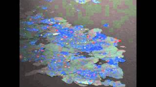 Yves De Mey - Past To A Halt