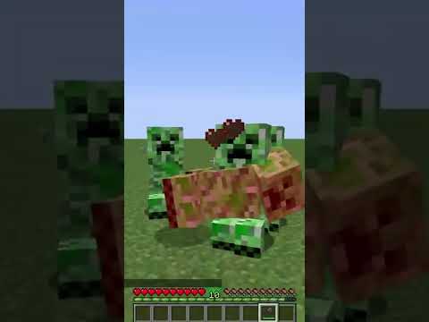 fat creeper #minecraft #shorts