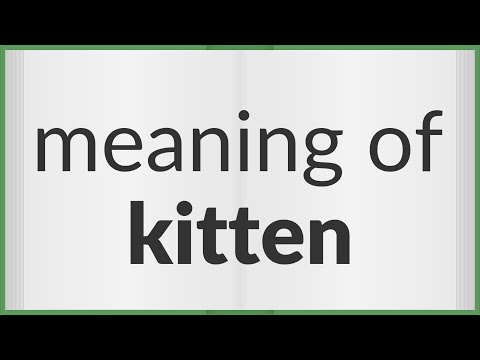 Kitten | meaning of Kitten