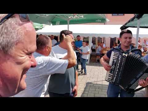 Stari orah (Akord Cetingrad)