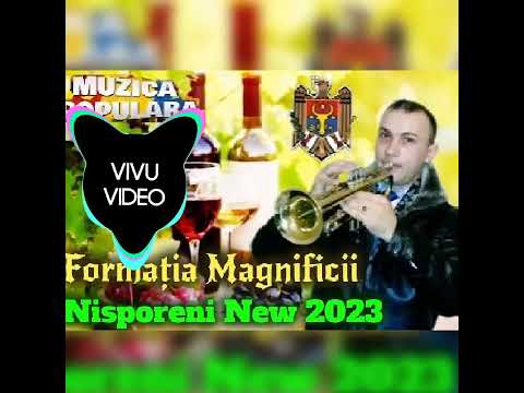 Formația Magnificii Nisporeni New 2023 - Trompeta Mîndra mea sa măritat
