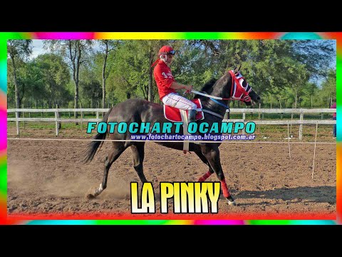 LA PINKY - Campo Gallo - Santiago del Estero 23/12/2023