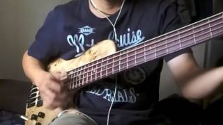 Video thumbnail for Test drive my Ibanez SRSC805 Single Cut 5 String Bass. by Simon Lau