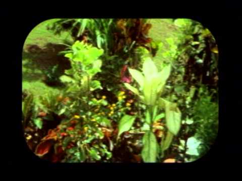 Broery Marantika, Sharifah Aini - Seiring Jalan (Official Music Video)