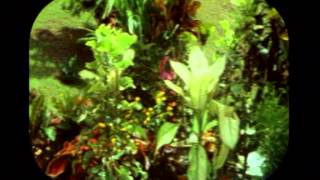 Broery Marantika, Sharifah Aini - Seiring Jalan