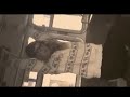 Work Drugs - Boogie Lights (Music Video) 
