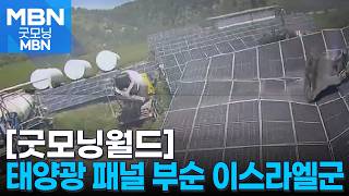 [굿모닝월드] 멀쩡한 태양광 패널은 왜? [굿모닝 MBN]