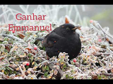 58 - Ganhar - Espírito: Emmanuel - Médium: Chico Xavier.