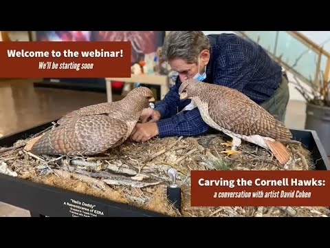 Carving the Cornell Hawks  a Conversation with Artist David Cohen