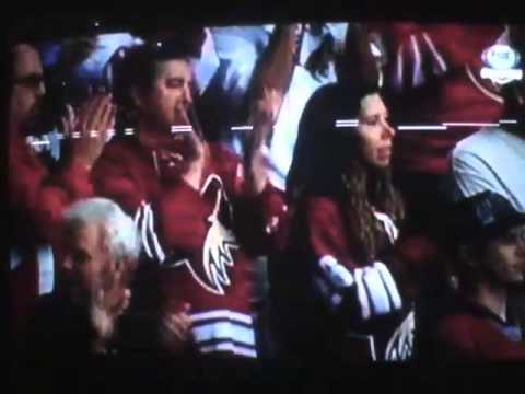 Meet the new owners of the phoniex coyotes