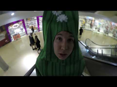 Doubleglass' Klassenkaktus - DGB 2.0 Qualifikation #38