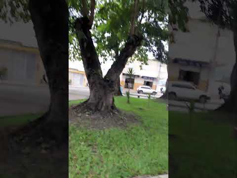 #crecernoyoutube #humor itarantim Bahia