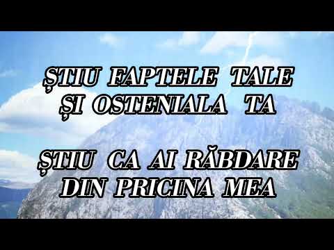 IONUT PAL - Știu faptele tale Official Video 2024