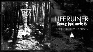 Liferuiner - Feeling / Meaning
