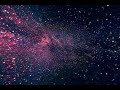 Song Created By Ai She Don T Know In The Multiverse Of Al Millind Gaba