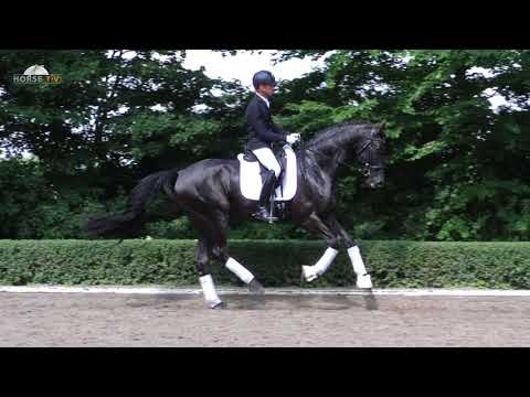 Szechwan`s Sapphire vo. Sezuan / Fürst Heinrich / De Niro