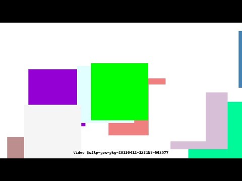 Video #sftp-gcs-pkg-20190412-123159-562577