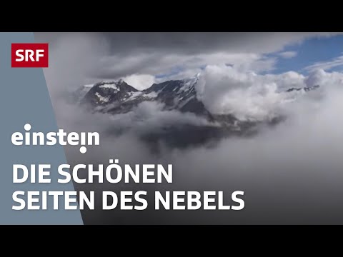 Nebel – Er macht depressiv und kann gefährlich sein, aber rettet auch Leben | Einstein | SRF Wissen