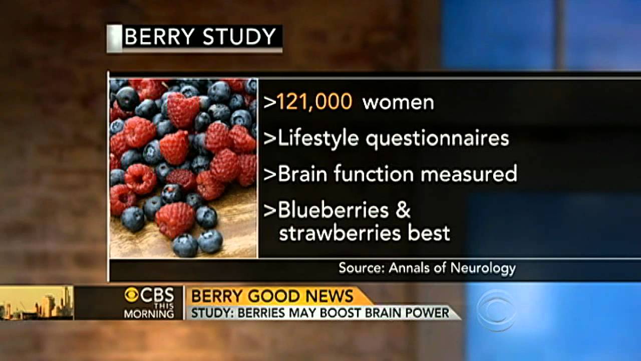 Berries boost brain power: study