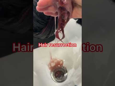 How to Fix Dry Damaged Hair | Hair Repair with Malibu C and Olaplex 😍 #healthyhair