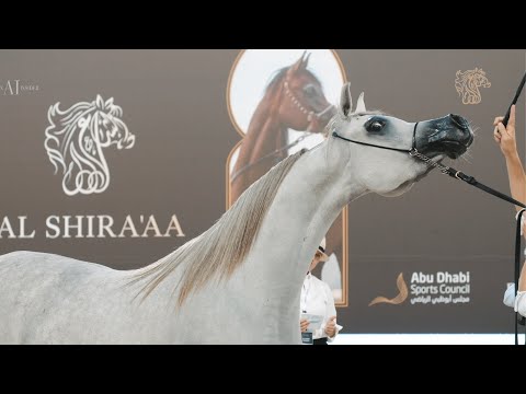 AL SHIRA'AA 2023 - Day 1