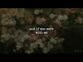 That Same Old Obsession | Gordon Lightfoot | Lyrics ☾☀