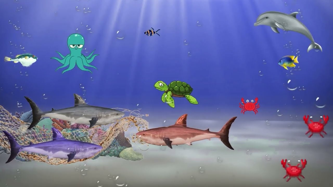 Crab Grab: Episode 6: Finn It To Win It