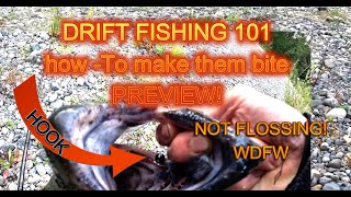Download Lagu Is Drift fishing legal Pt1,River Drift Fishing, king salmon, down the throat! Legally! #fishing Thumbnail