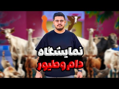 گزارش کامل نمایشگاه بین المللی دام و طیور 2025 در تهران