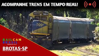 Paraná · Araucária · Live view live stream
