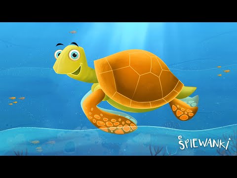 MORSKI ŻÓŁW  – Śpiewanki.tv - piosenki dla dzieci