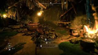 ゼルダの伝説 禁じられた西部[Horizon Forbidden West]
