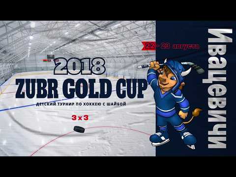 Брест 2 - Береза 1 . Хоккей, турнир ZUBR GOLD CUP | Ивацевичи |