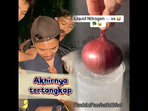 akhirnyaa 😡#shorts #viral #funny #youtubeshorts #shortvideo #viralvideo #youtube #humor #fyp #pov