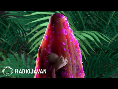 Canis - "Leyli" OFFICIAL AUDIO | کنیس - لیلی